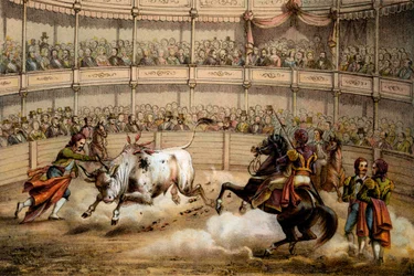 Bullfight